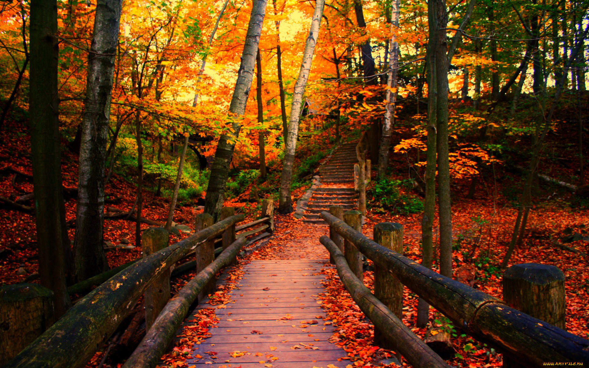 autumn, in, the, park, , , , , , , , 